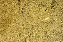 ВОВ Приправа ОРЕХОВО-ЧЕСНОЧНАЯ 1кг/12