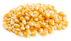 Попкорн (кукуруза)