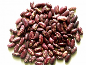 Фасоль красная Королевская