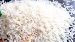 Рис ЖАСМИН Вьетнам (меш 25кг)