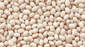 Фасоль белая Эфиопия (меш 25кг)