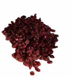 Барбарис красный 