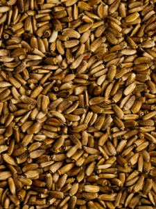 Семена расторопши 