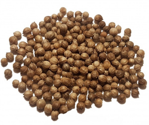 П/В кориандр зерно