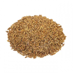 П/В зира (Узбекистан) в/с