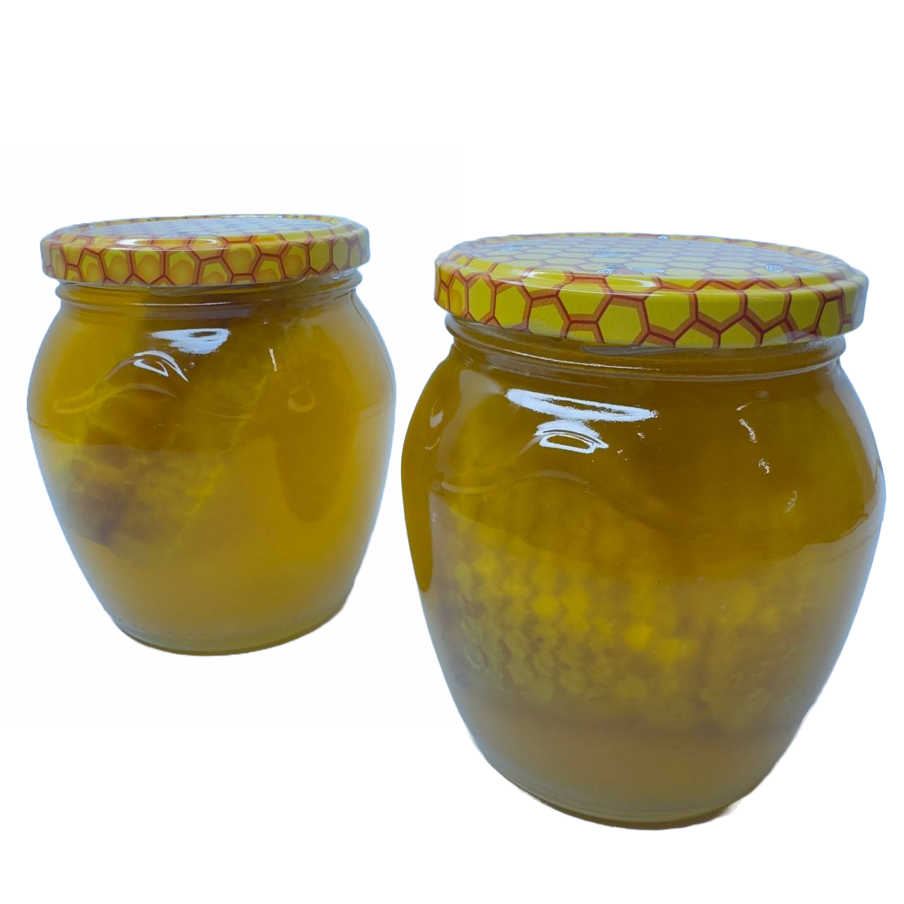 СОТЫ 500 мл (1 упаковка 10 шт.)