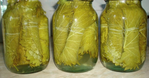 Виноградные листья домашние 07л АРТУР