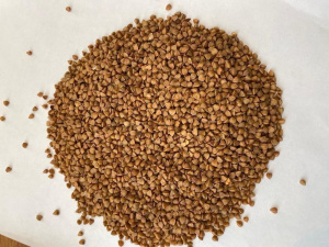 Гречка ЭЛИТА