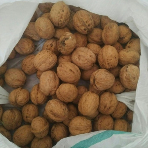 Грецкий  орех в скорлупе местный