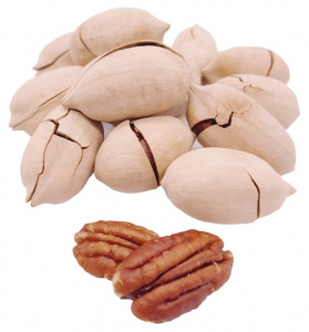 Пекан орех в скорлупе 5А 