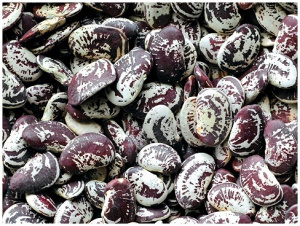 Фасоль Гигант